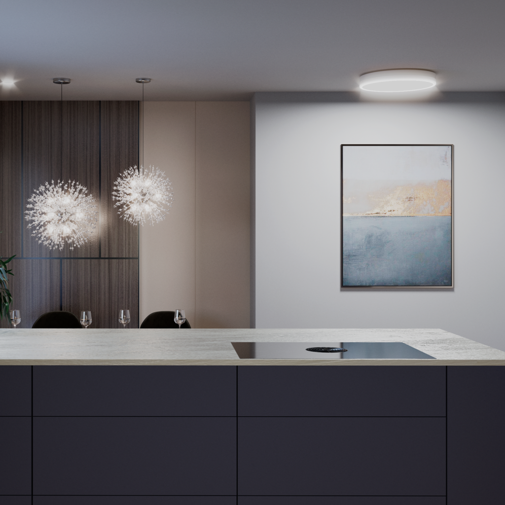 Grey kitchen with a picture on the wall